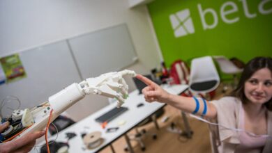 Betaplace Robotic Hand